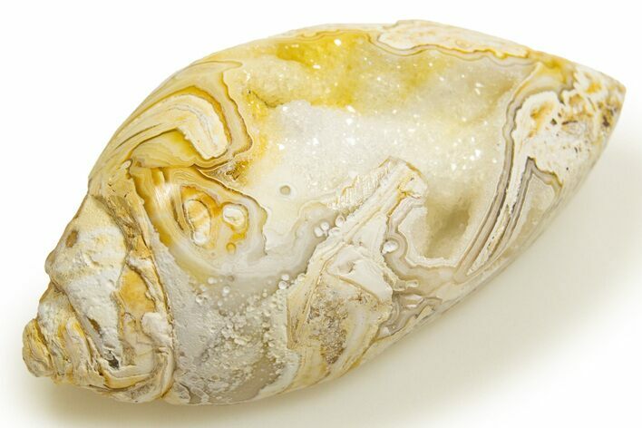 Chalcedony Replaced Gastropod With Sparkly Quartz - India #318724